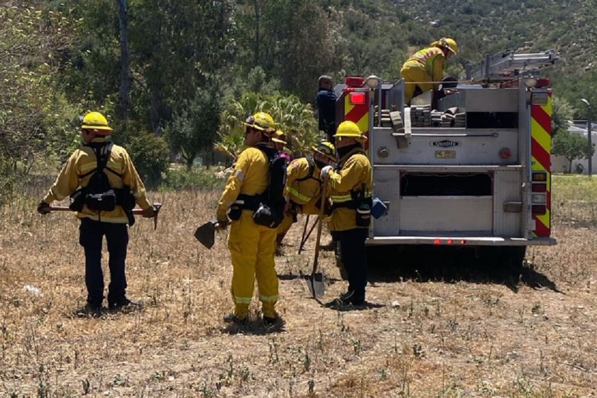 Bomberos sofocan incendio de pastizal en Hacienda Los Venados