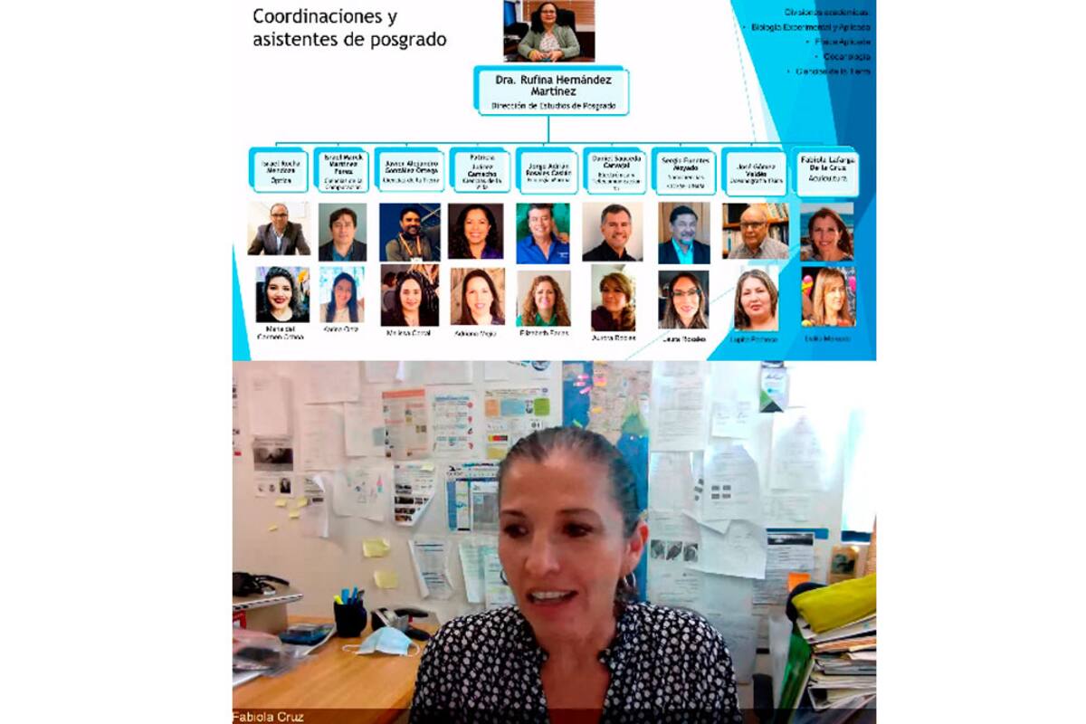 Cicese da la bienvenida a 165 alumnos a sus posgrados