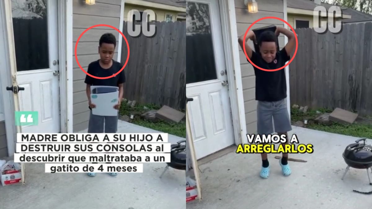 “¿Tienes problemas de ira? Los vamos a arreglar ahora”: madre castiga a su hijo tras descubrir que azotó a su gato contra el suelo y lo obliga a destruir sus propios juguetes