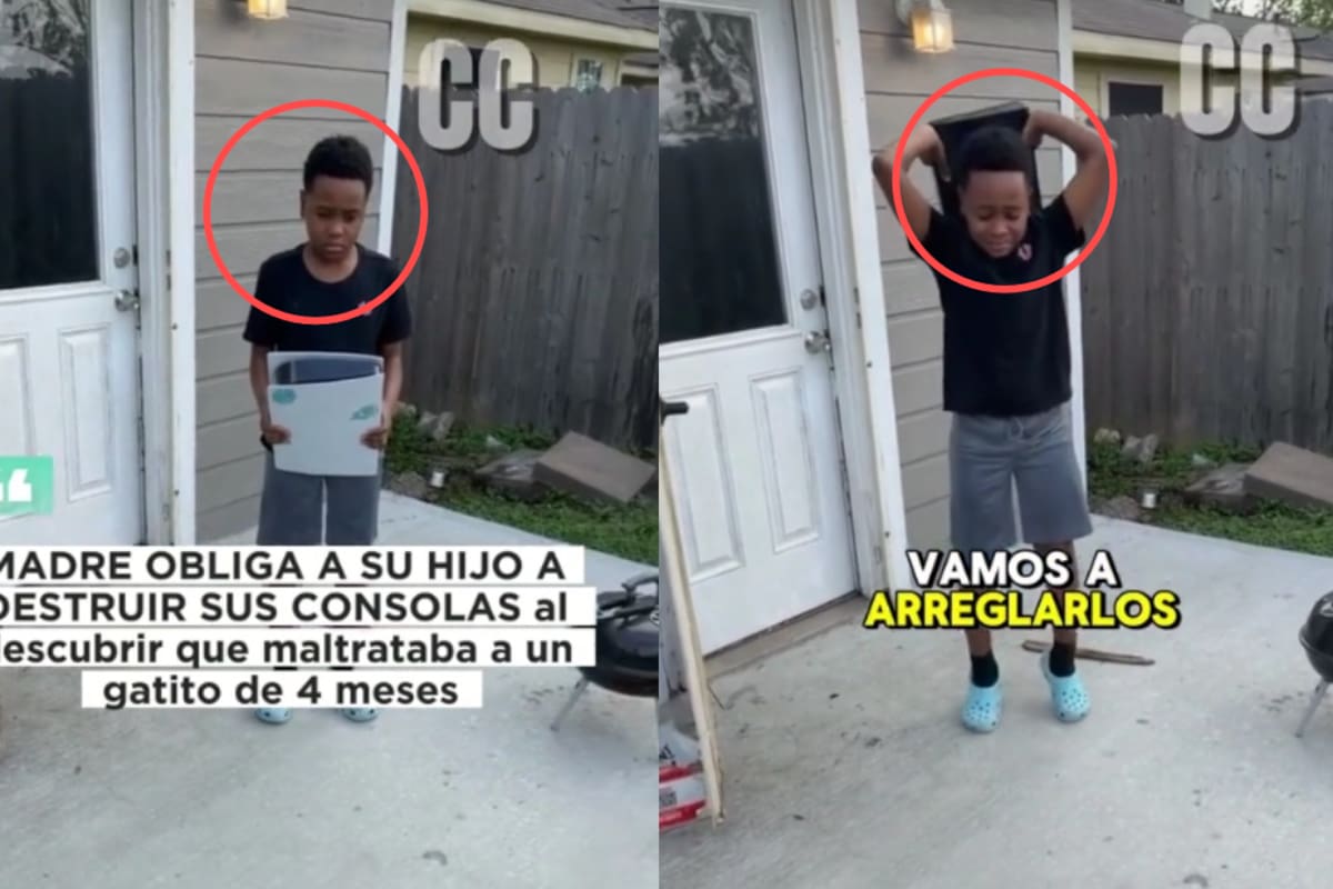 “¿Tienes problemas de ira? Los vamos a arreglar ahora”: madre castiga a su hijo tras descubrir que azotó a su gato contra el suelo y lo obliga a destruir sus propios juguetes