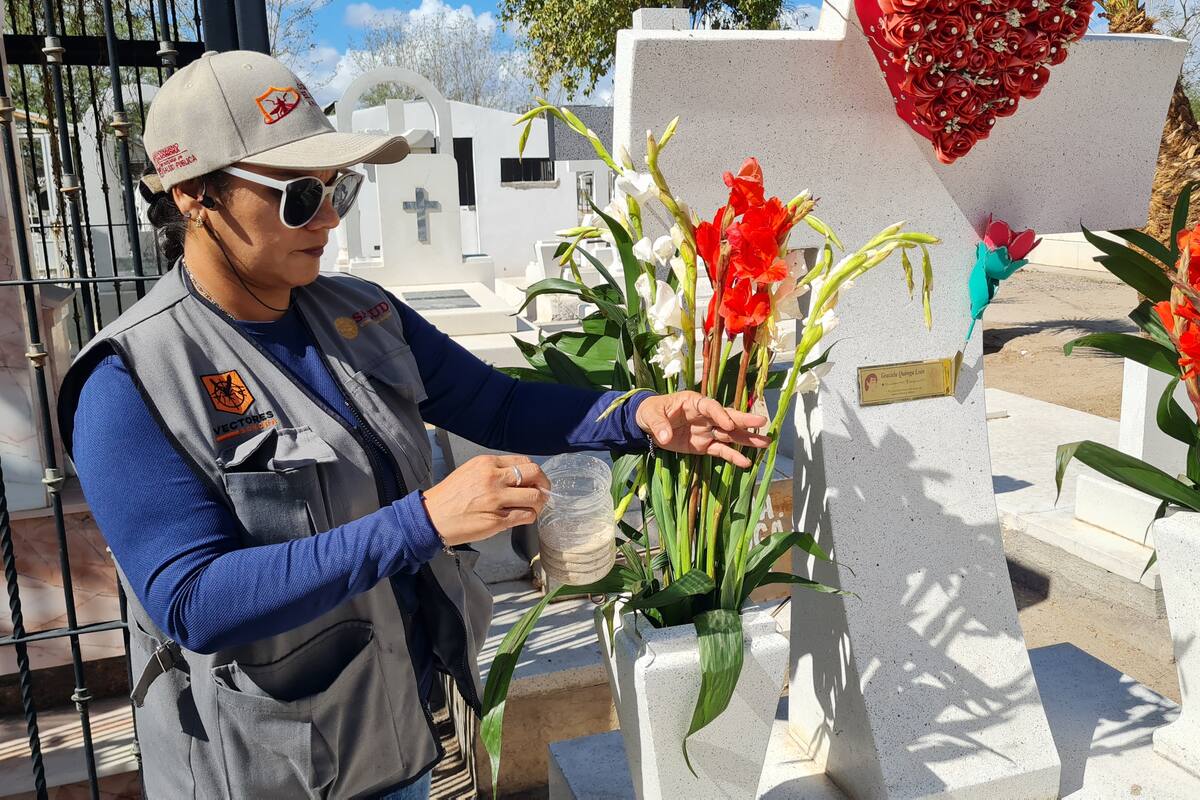 Confirman 777 casos de dengue en Sonora