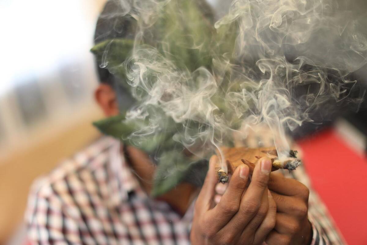 Cannabis en México: Qué es legal y permitido tras la decisión de la Suprema Corte