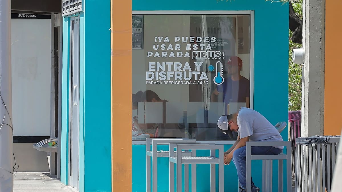 Usuarios del transporte evitan nuevas paradas refrigeradas por temor a que los camiones no se detengan