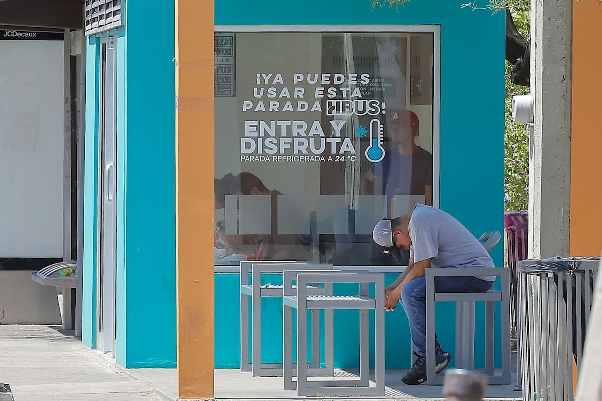 Usuarios del transporte evitan nuevas paradas refrigeradas por temor a que los camiones no se detengan