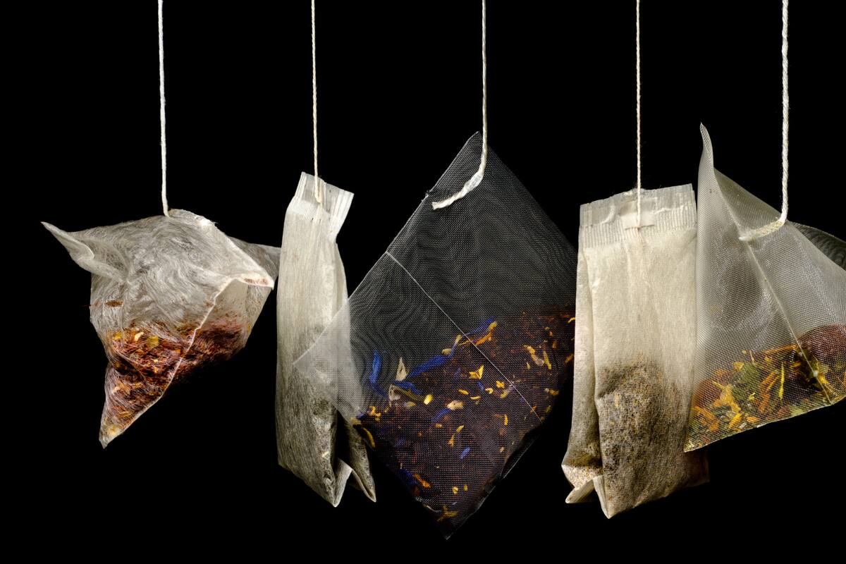 Descubren que el té y su capacidad para filtrar metales pesados del agua