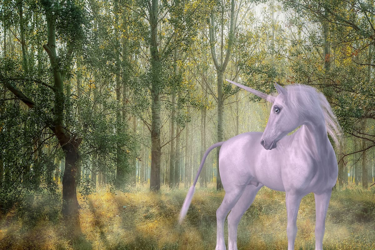 ¿Qué son las llamadas empresas unicornio?
