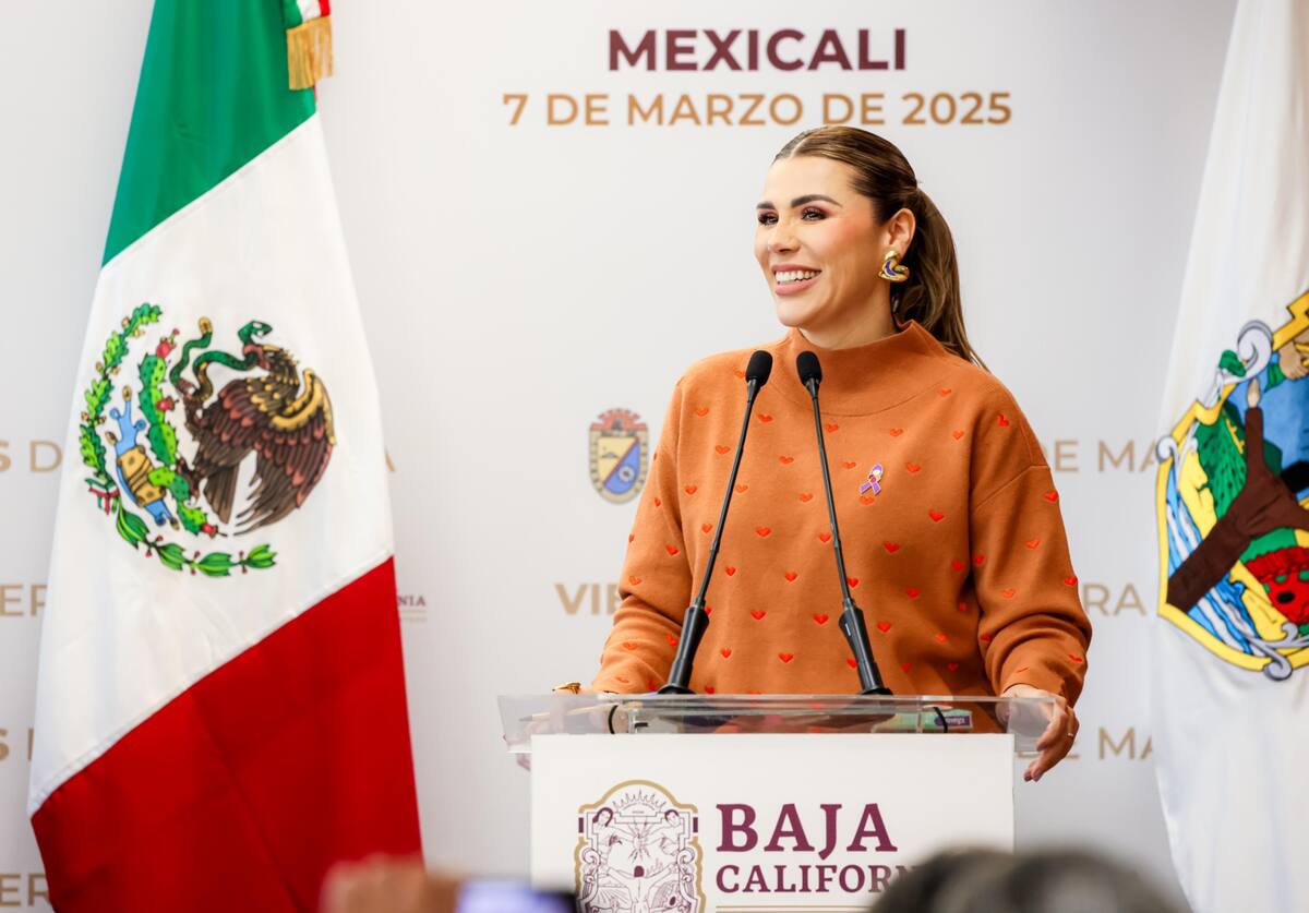 Se presentará iniciativa para elevar a rango constitucional la Tarjeta Violeta. Foto: Cortesía