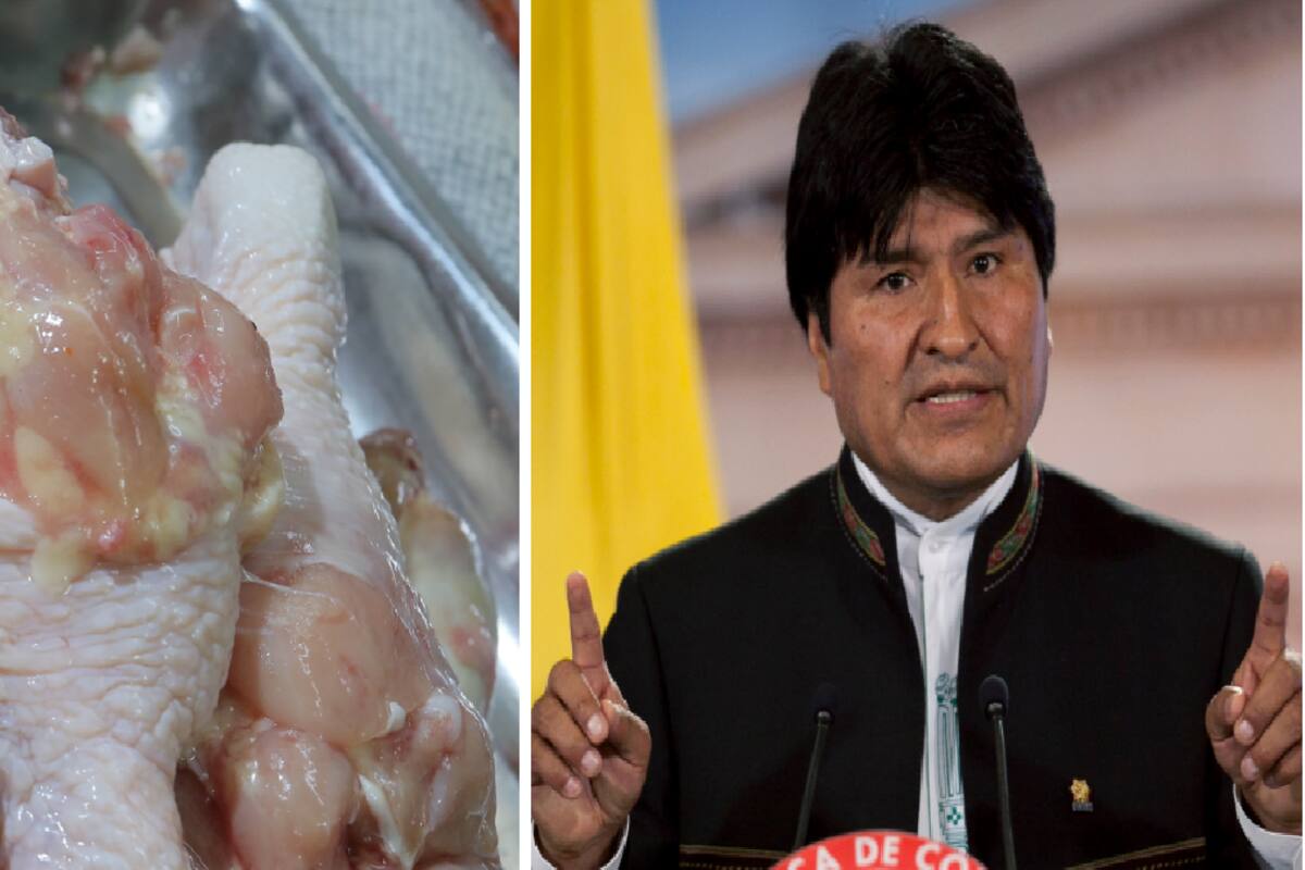 Hormonas de pollo te hacen gay: Evo Morales en 2010