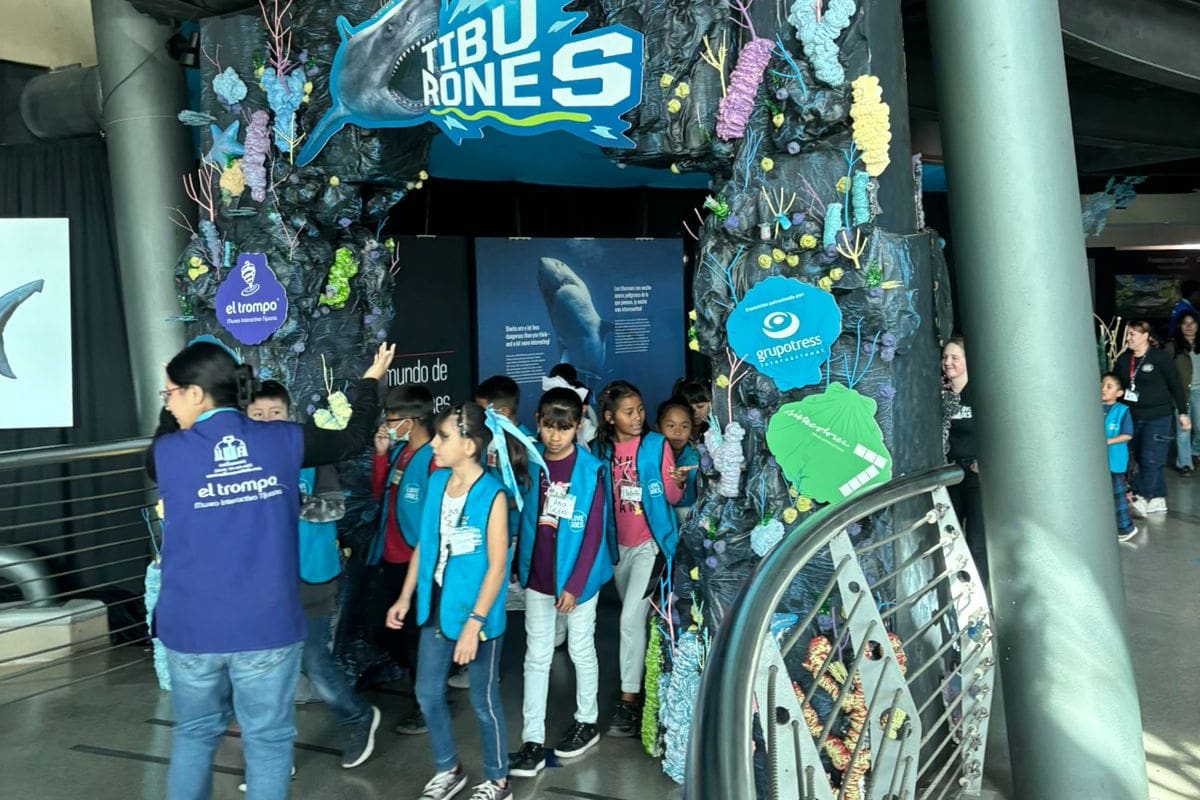 Llegan ‘Tiburones’ al museo El Trompo en Tijuana