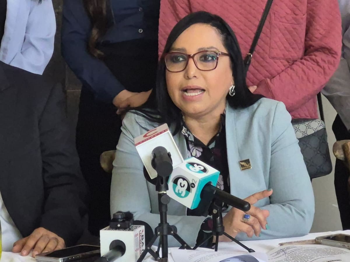 El gremio en Tijuana promoverá un amparo colectivo para eliminar la exigencia de maestría y doctorado en casos que involucren a menores. Foto: Cortesía