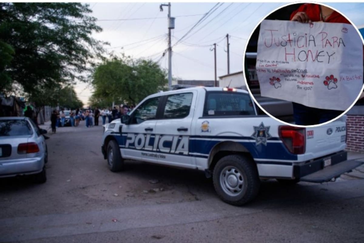 Presunto responsable de brutal asesinato de perrita en Hacienda de Castilla es detenido
