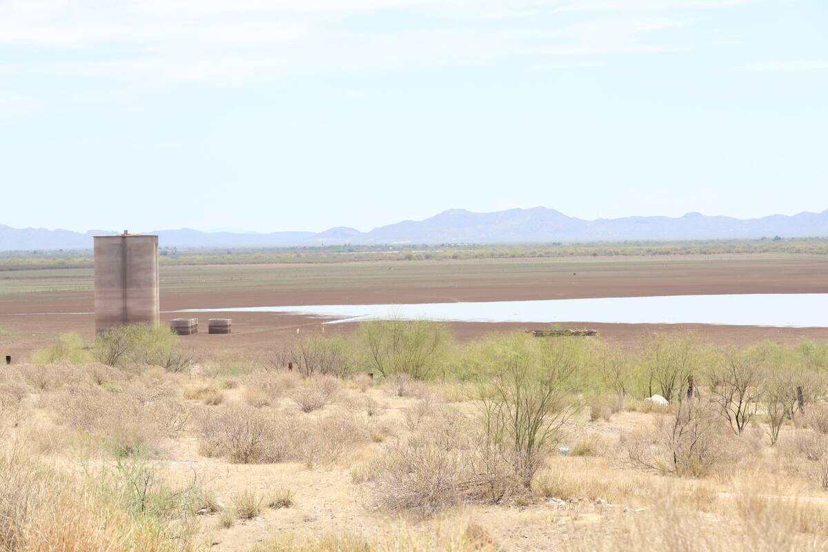 Presas de Sonora al 22.5%: Conagua