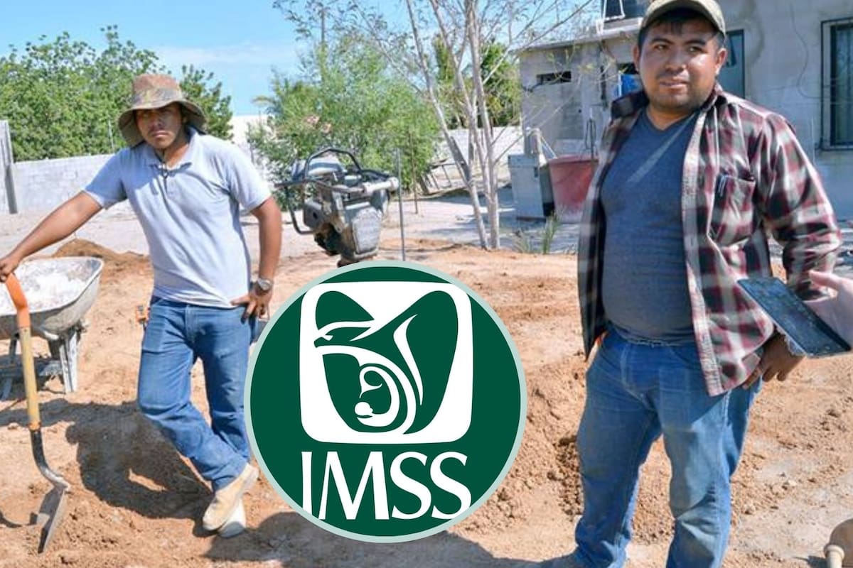 Así puedes contar con Seguro Social si eres trabajador independiente