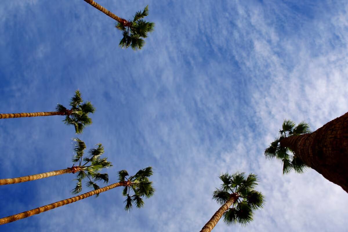 Temperaturas alcanzarán los 27 grados el próximo lunes
