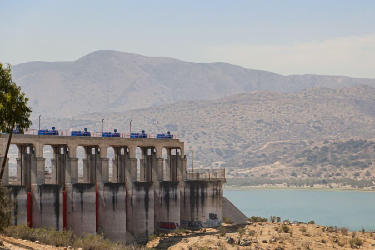 Autoridades atienden afectación a fauna acuática en presa Abelardo L. Rodríguez