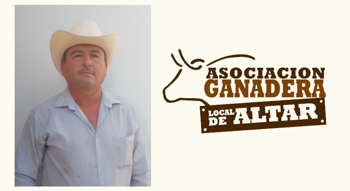 Jacob Portillo Valle, presidente de la Unión Ganadera Local en Altar, señaló que la escasez de toros impide a los pequeños productores acceder a los apoyos gubernamentales. FOTO: ESPECIAL
