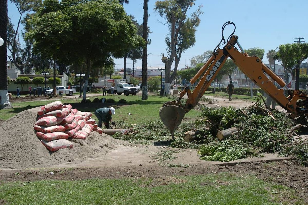Deben considerar propuestas ambientalistas: Nación Verde