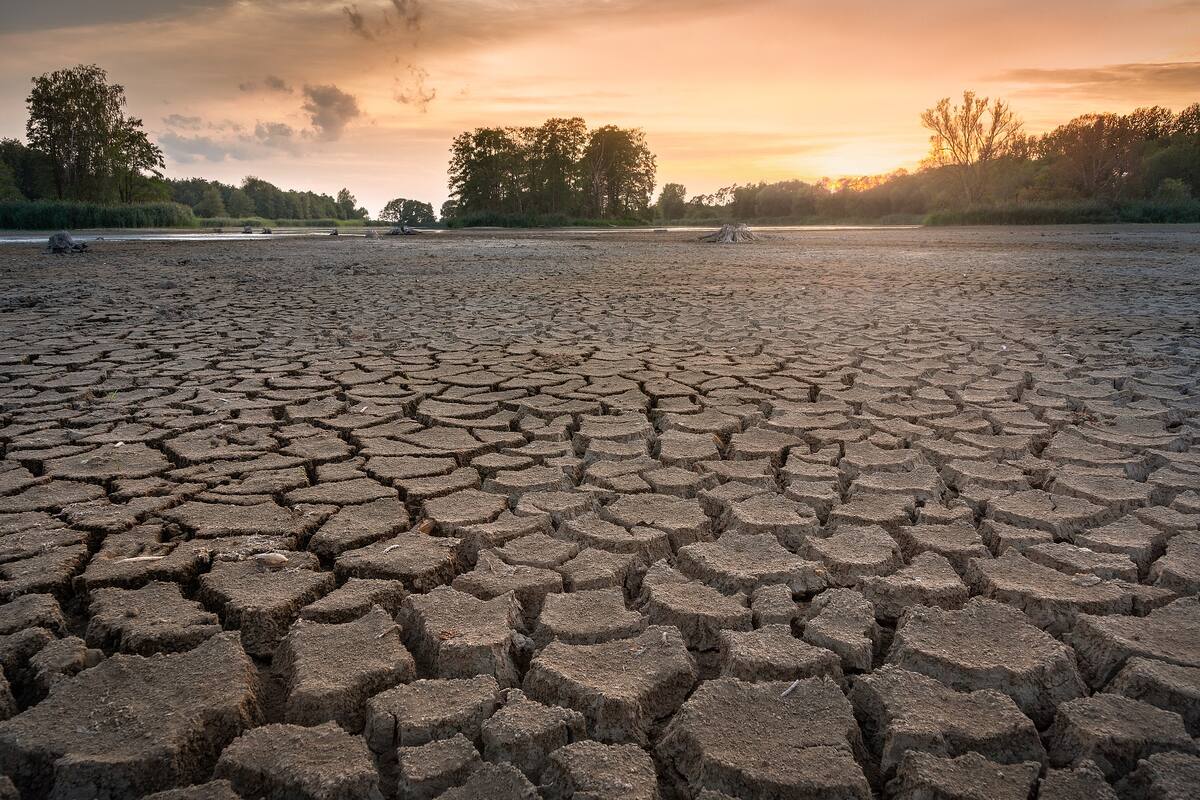 La Niña: el fenómeno podría incrementar sequía y tormentas