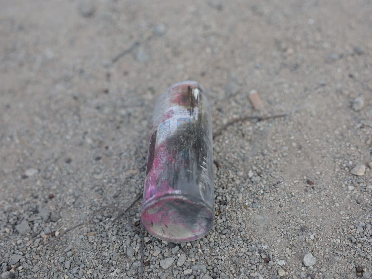 Foto: Javier Gallegos