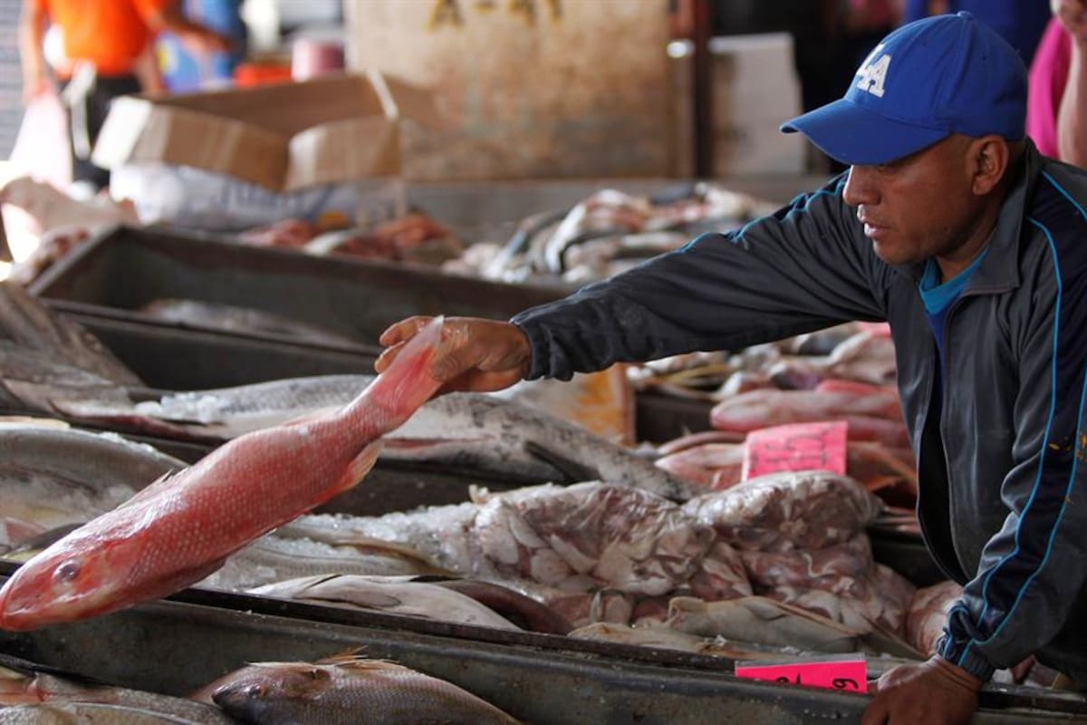 Alerta ONG engaños en la venta de pescado a consumidores en México