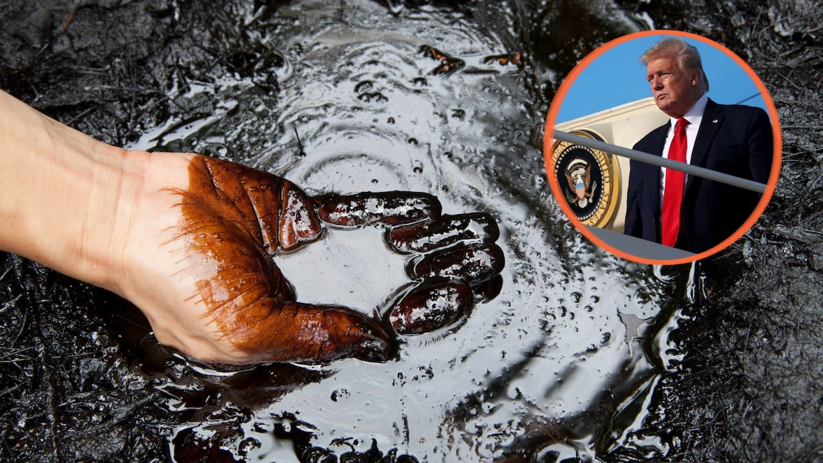 La estrategia forma parte de un acuerdo internacional para liberar hasta 400 millones de barriles y estabilizar el mercado energético. /Reuters/canva