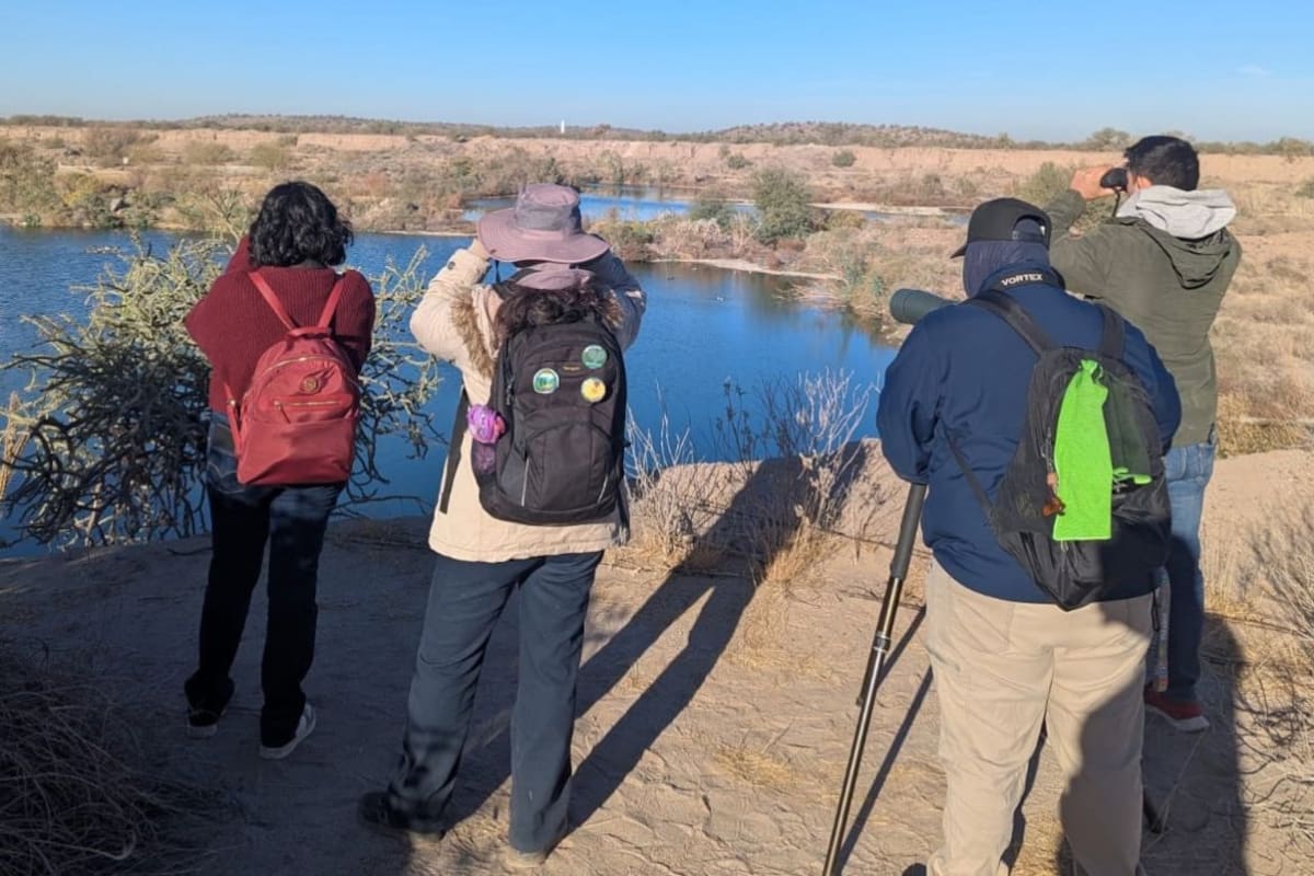 Hermosillo tendrá su primer Festival de las Aves de Sonora el 31 de octubre y 1 de noviembre en el Musas