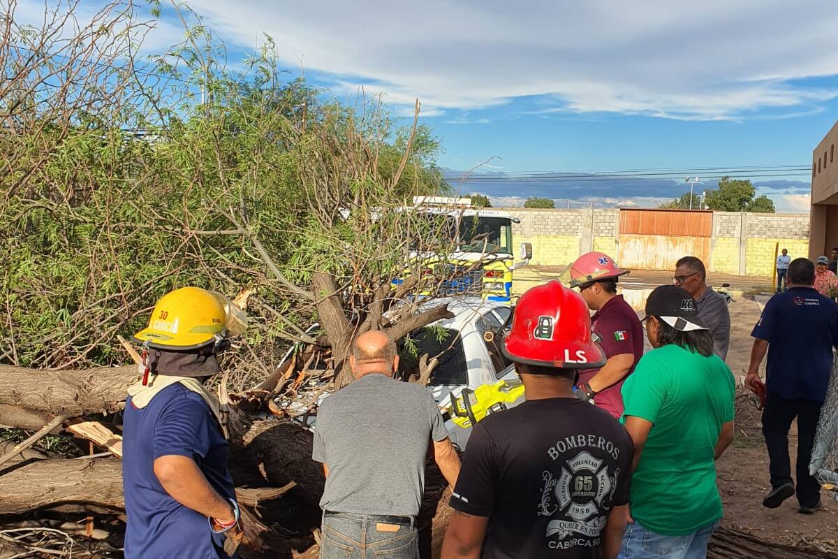Arrasa tromba y deja daños en Caborca