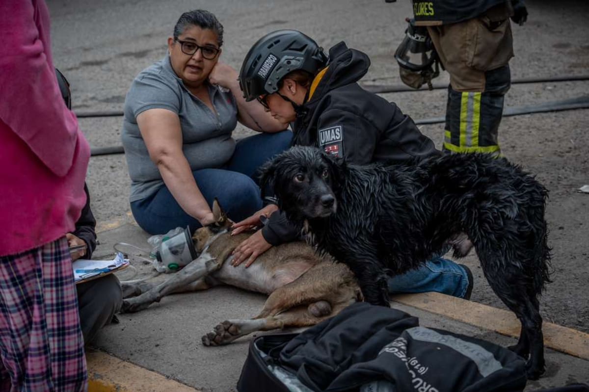 El siniestro ocurrió en la colonia Baja Maq El Águila, en Tijuana. Foto: Border Zoom