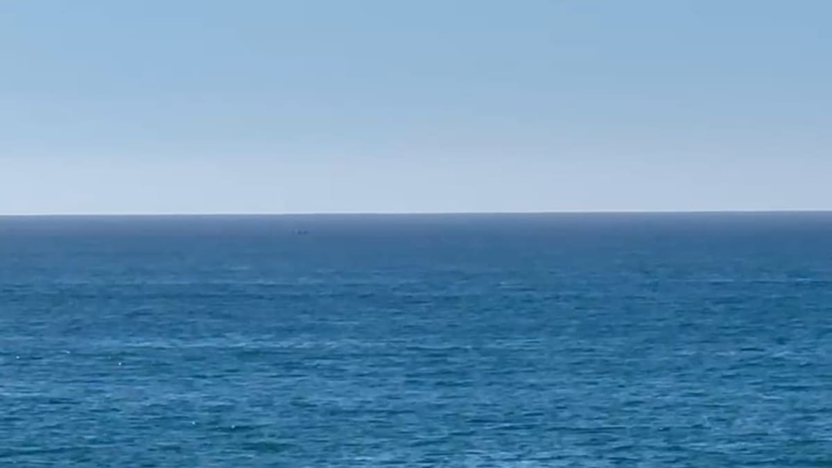 Pescadores denuncian hundimiento de plataforma en Punta Colonet