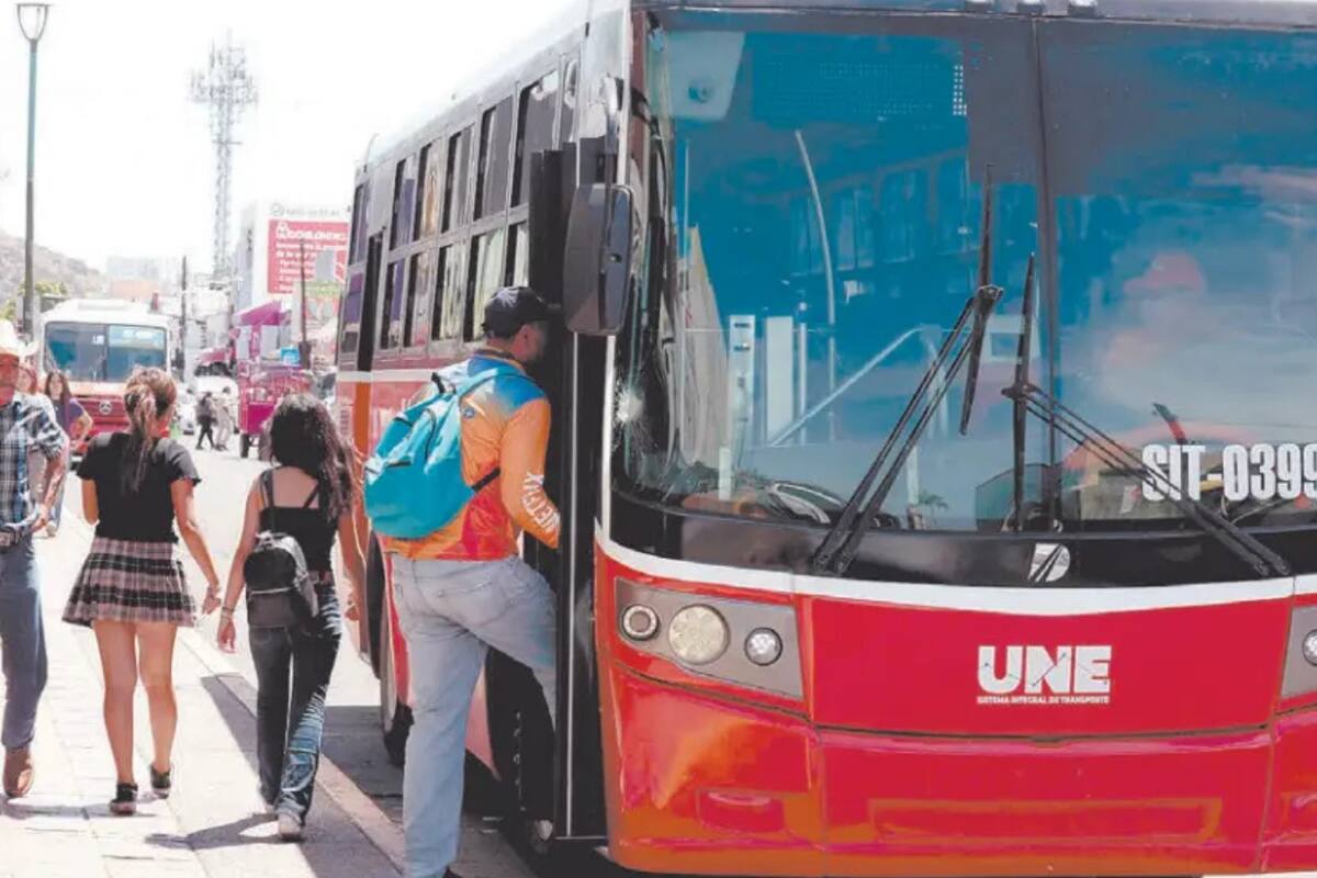 Pueden ir hasta 90 pasajeros en los camiones