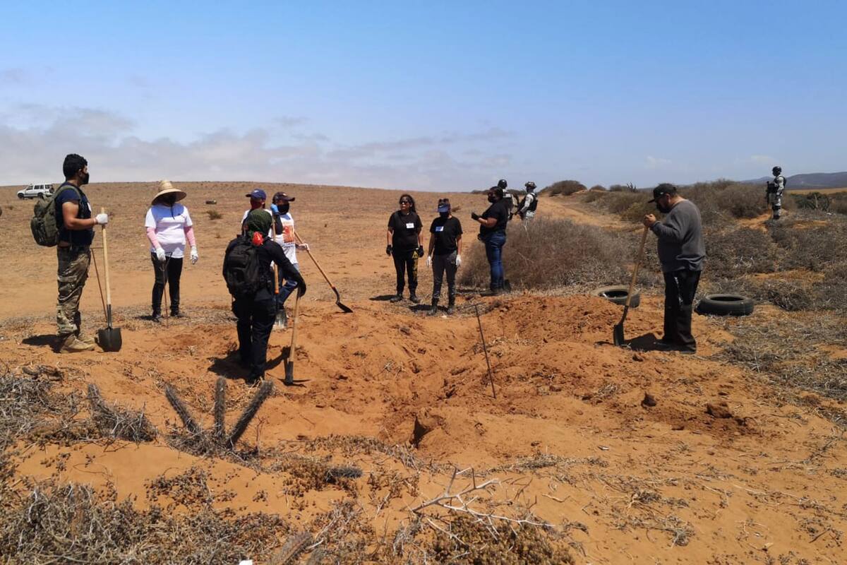 Encuentran cuerpos en descomposición en San Quintín