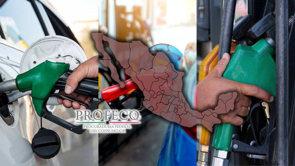 Precio de la gasolina en México. Foto: Especial (Editada en Canva)