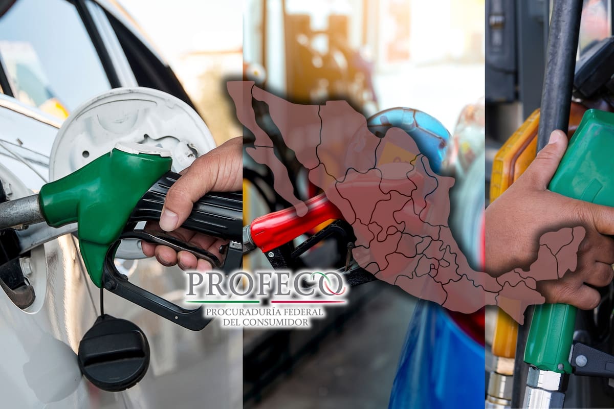 ¿Dónde está la gasolina más cara y más barata en México? Profeco revela los precios por estado