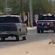 Detonaciones, persecución y choques en SLRC; pick-up Silverado desató el caos antes de ser detenida en el Islita