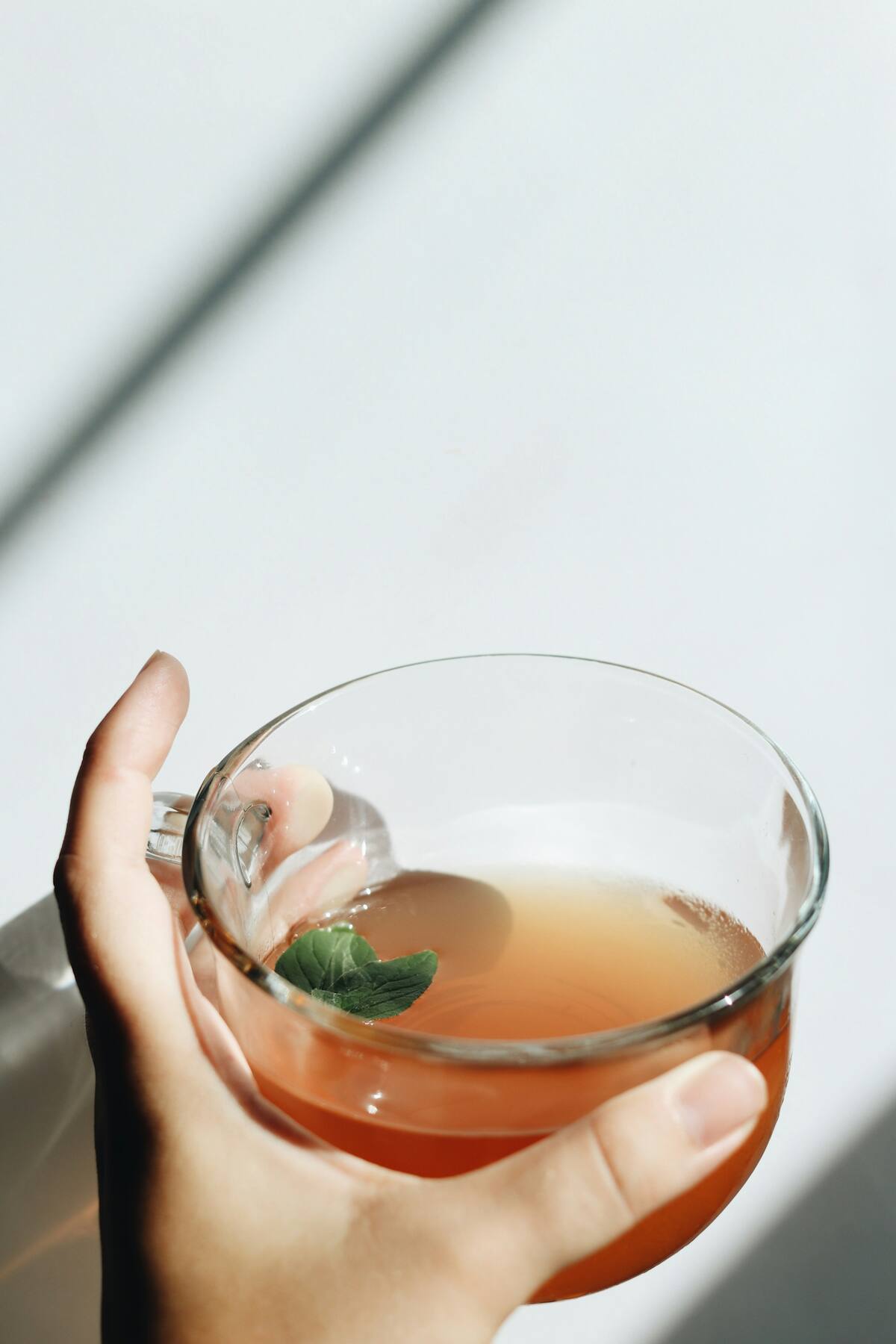 Descubre algunos de los beneficios del té de epazote. FOTO: PEXELS