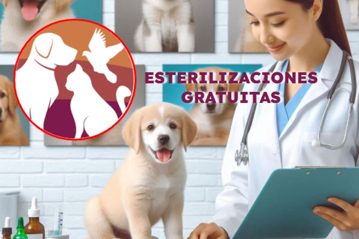 Jornada de Esterilizaciones GRATUITAS en Hermosillo