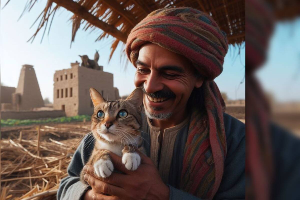 Los gatos son los únicos animales que se han domesticado a sí mismos: ¿por qué?