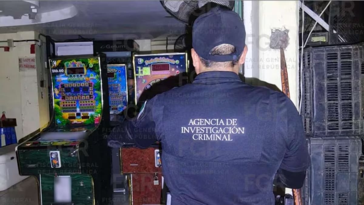 El operativo federal también permitió asegurar nueve cámaras de videovigilancia, sistemas de grabación y tres inmuebles. (FGR/El Universal)