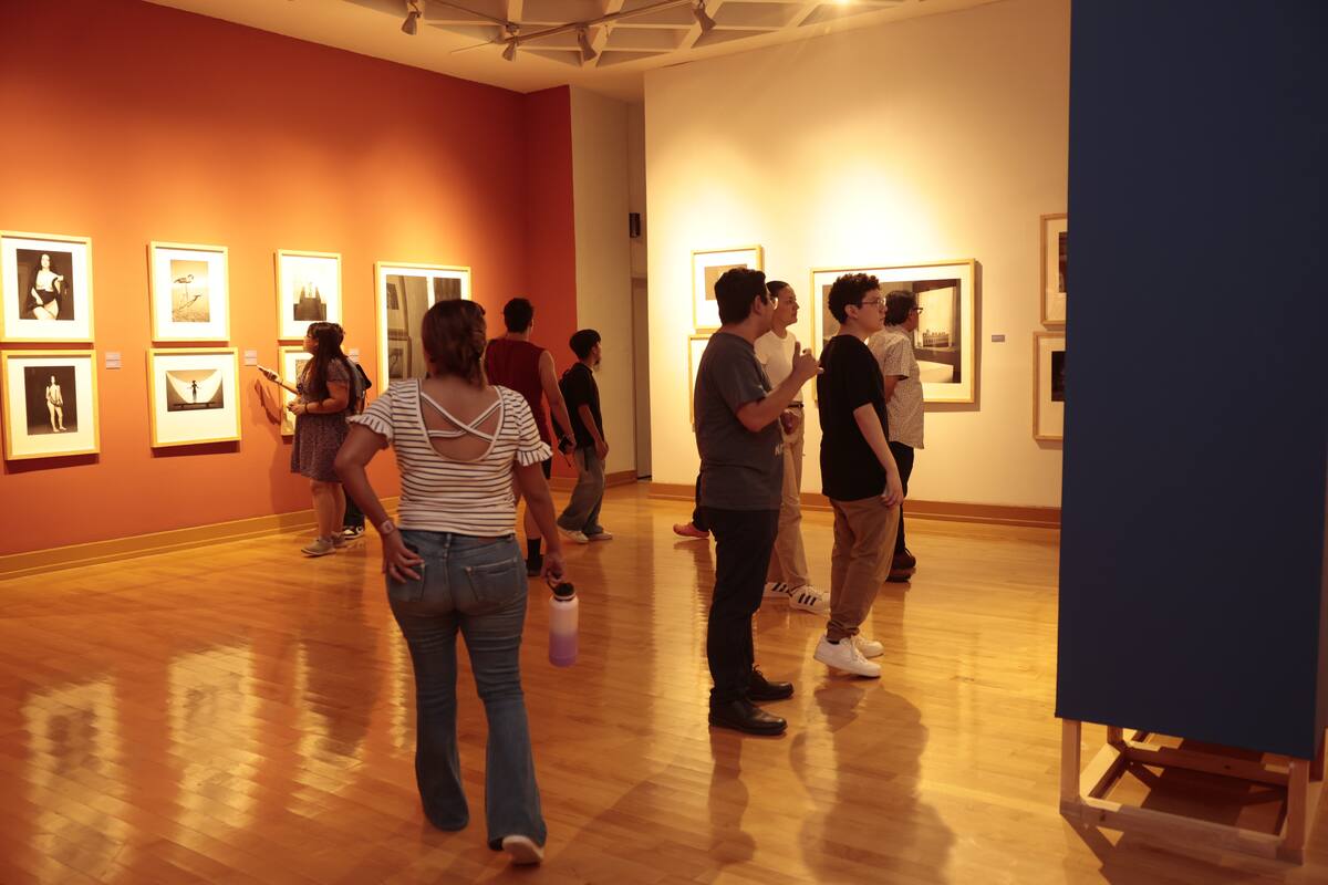 Musas estrena hoy dos grandes exposiciones como parte del FAOT 2025