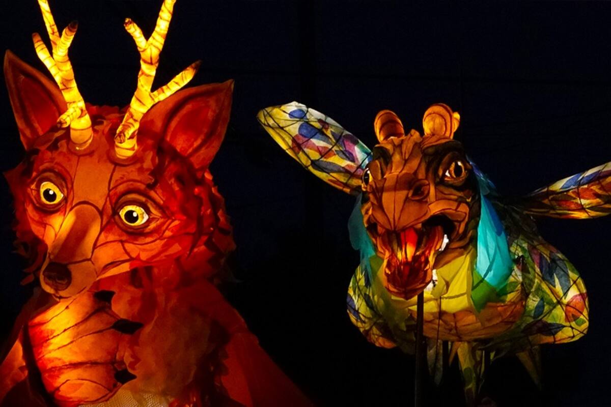 Espectáculo de títeres de linterna se presentará gratis en Festival Wow