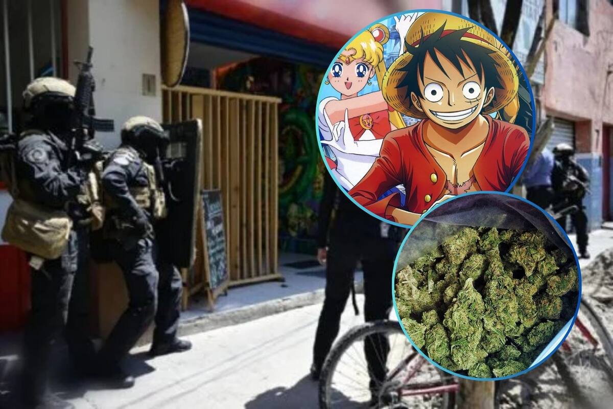 Clausuran tienda de anime que vendía marihuana de contrabando