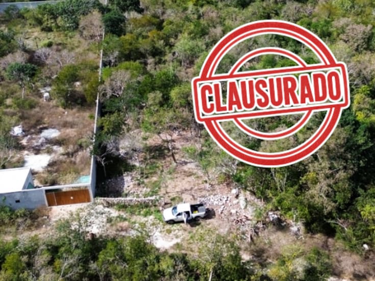 Clausuran predio en Yucatán: detectan remoción de selva y vestigios arqueológicos sin autorización en Área Natural Protegida