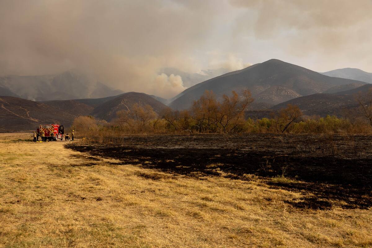 Se expande incendio forestal en Chula Vista