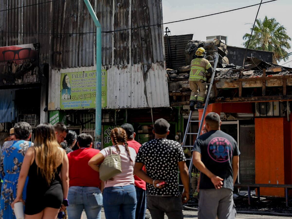 Foto: Javier Gallegos