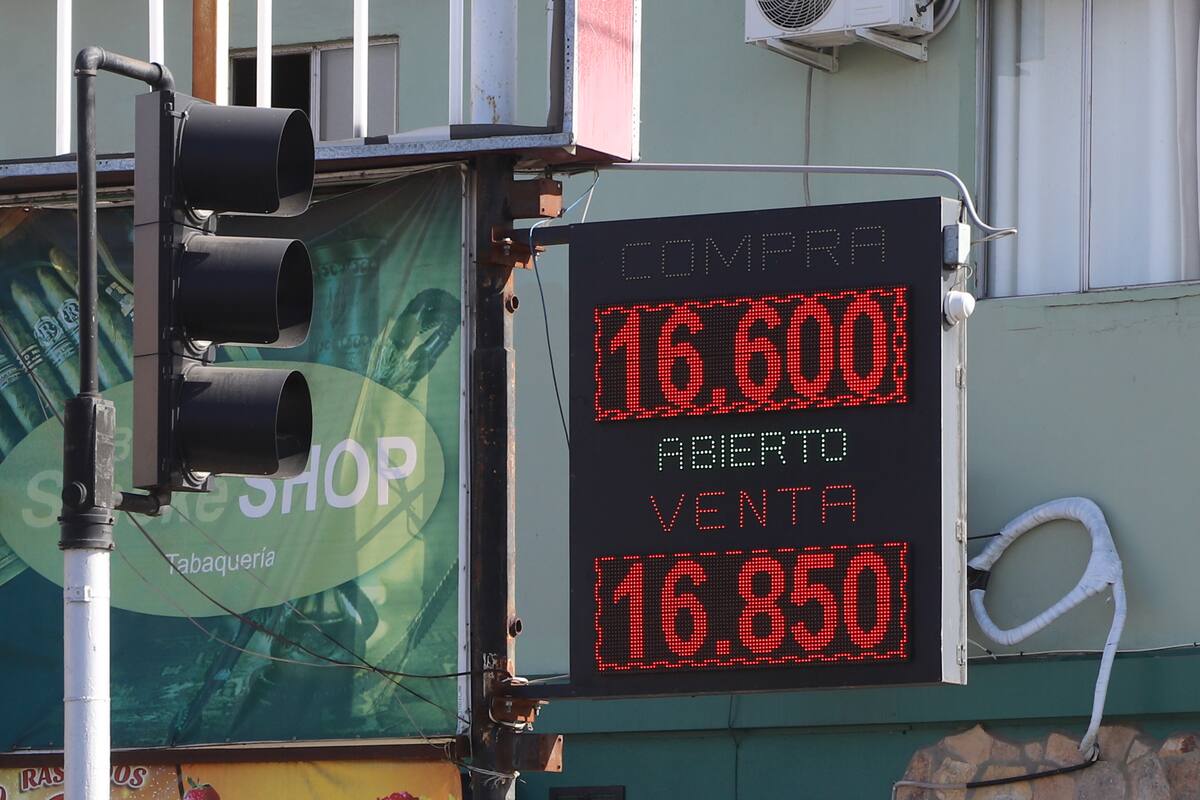 Prevén un tipo de cambio estable durante el 2024
