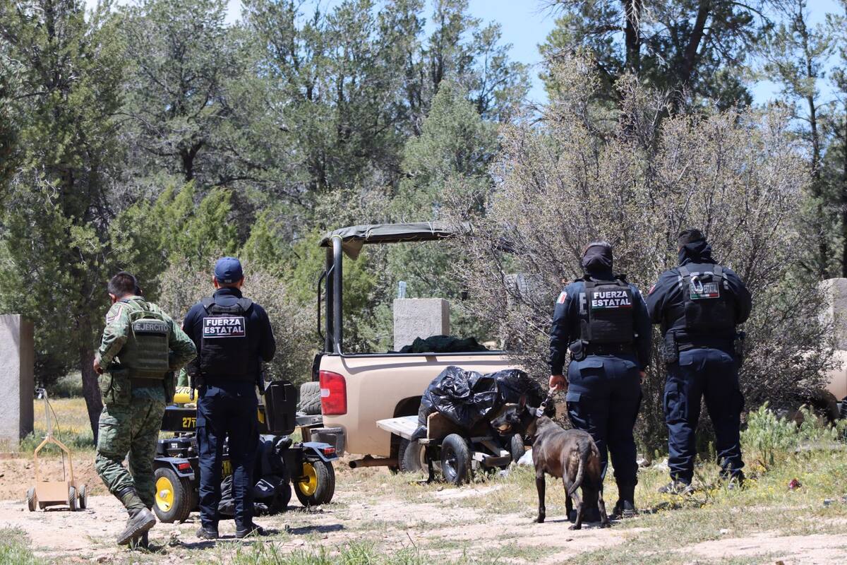 Entre las brechas fue localizado un vehículo tipo pick up Dodge Ram con placas de California, cubierto con lona.