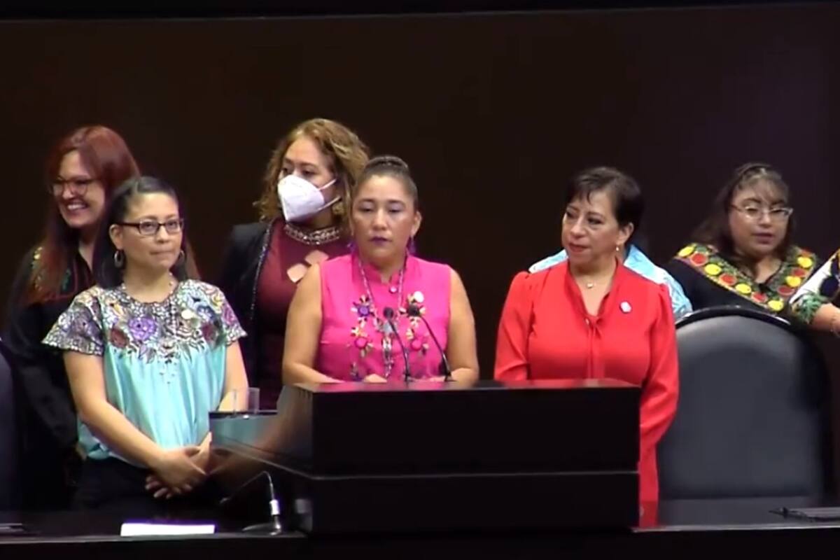 Video: Diputada deja abierto el micrófono por error e insulta a legisladoras