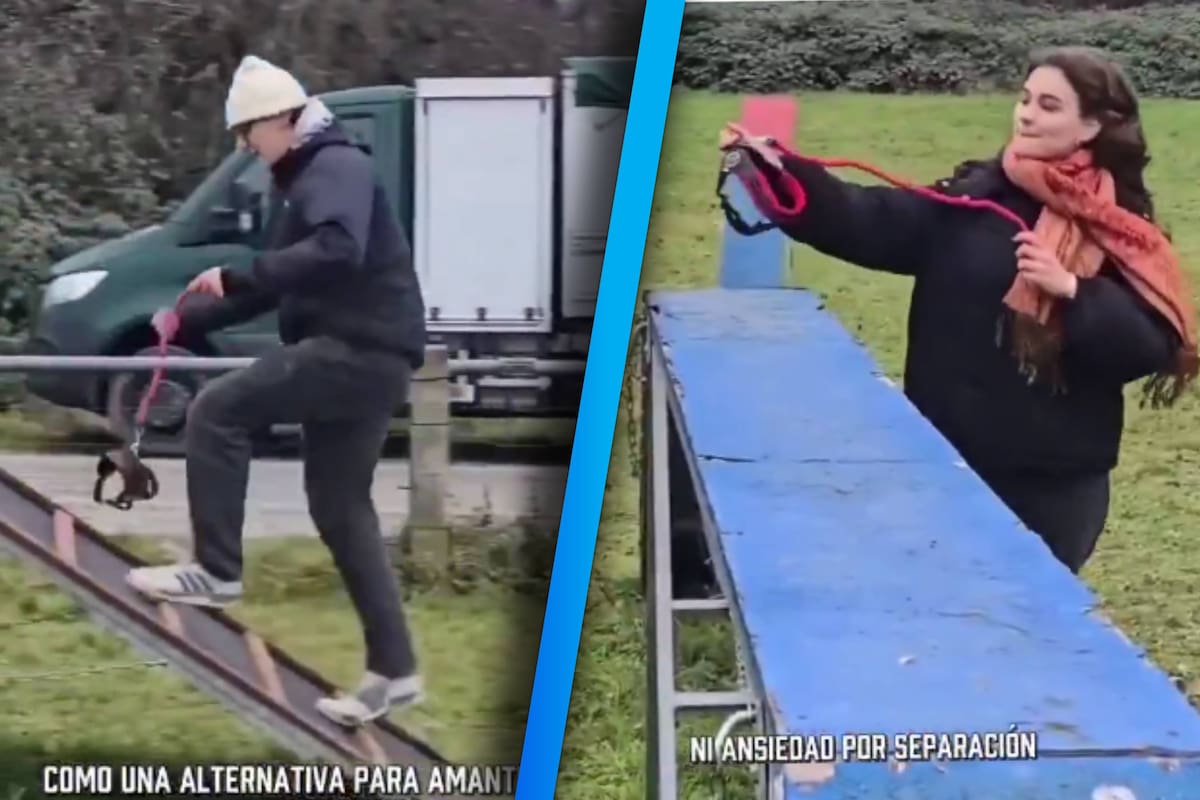 Mientras en México se habla de los Therian, en Alemania es tendencia pagar por entrenar a perros ‘invisibles’ ¿Qué es el “Hobby Dogging”?