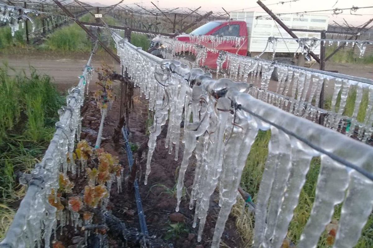 Clima en México: Prevén frío y heladas en Sierras del Norte por Frente Frío 42
