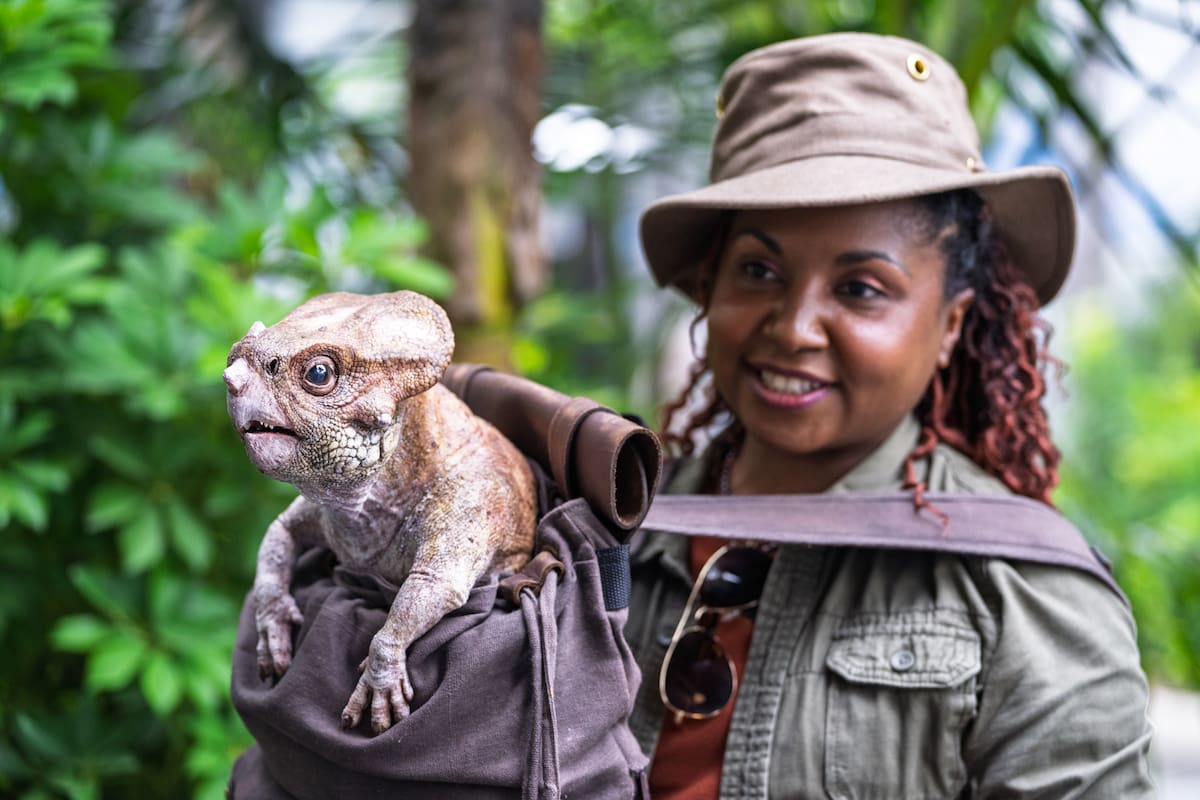 Los visitantes podrán sumergirse en la experiencia del mundo jurásico al abordar la atracción “Jurassic World—The Ride”. Foto: Cortesía